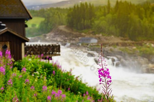 福莫福森福莫福森瀑布,强大的河采用挪威