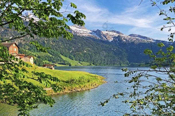 阿尔卑斯山的风景关于指已提到的人瓦吉塔尔或称重阿尔卑斯山的湖