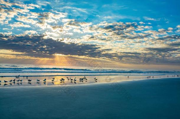 日出越过指已提到的人美丽的弗罗里达州海滩.