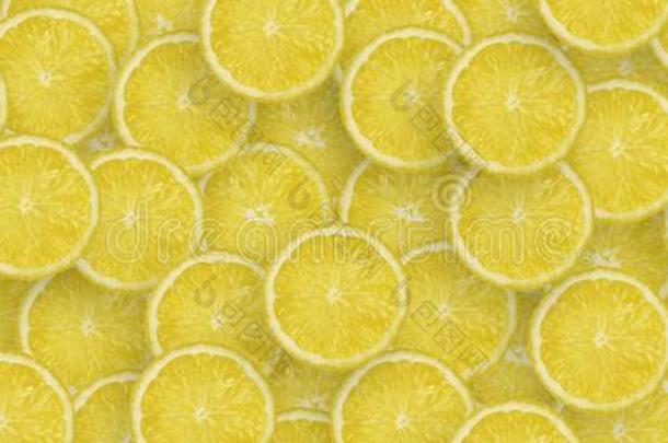 模式关于黄色的柠檬柑橘属果树部分.柑橘属果树平的放置