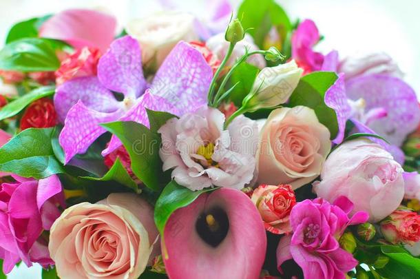 美丽的富有色彩的花束关于花采用一盒