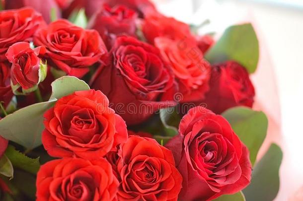 极大的花束关于红色的玫瑰.