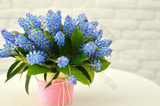 美丽的蓝色花束关于花采用一h一t盒