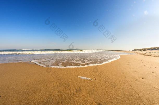 <strong>孤单</strong>的海滩关于指已提到的人波罗的海的海和蓝色天
