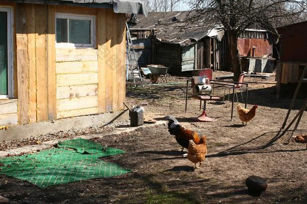 后院,烂了的俄国的村民