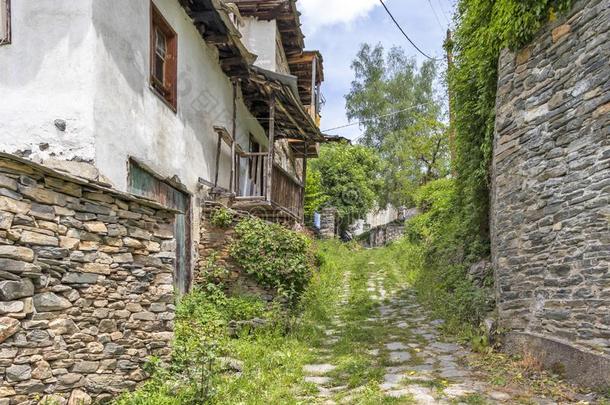 村民关于科索沃和第十九百年住宅,保加利亚