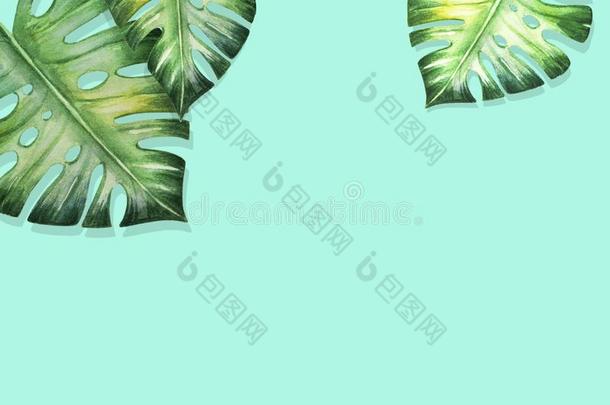 美丽的热带的树叶边框架向蓝色背景幕布.M向ster