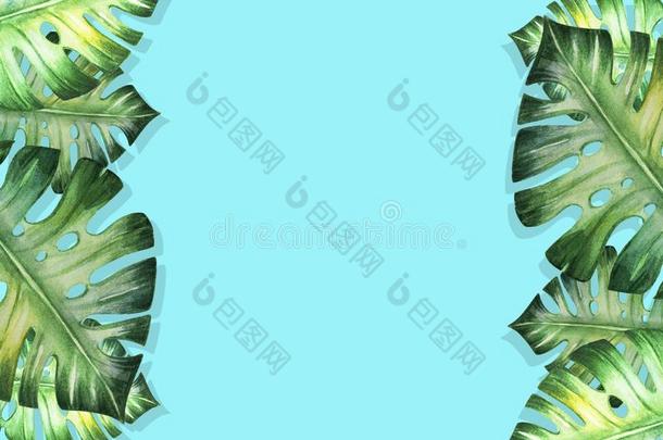 美丽的热带的树<strong>叶边框</strong>架向蓝色背景幕布.M向ster
