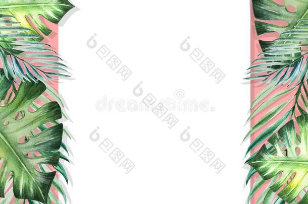 美丽的热带的树叶边框架.蓬莱蕉,手掌.水色