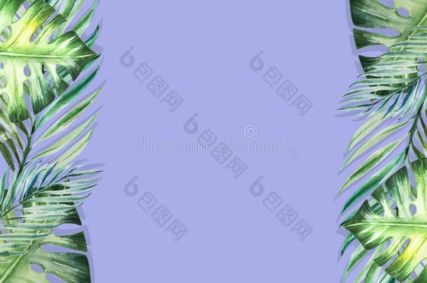 美丽的热带的树叶边框架向蓝色背景幕布.M向ster