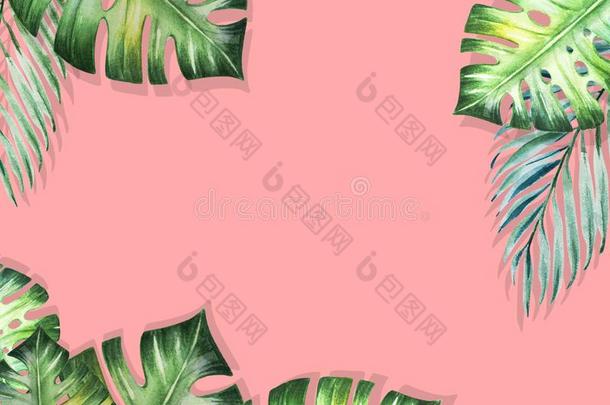 美丽的热带的树叶边框架向粉红色的背景幕布.M向ster