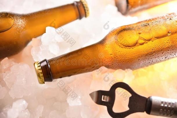 啤酒瓶子说谎向压碎的冰和瓶子开启者