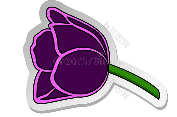 张贴物关于紫色的郁金香花采用平的漫画方式隔离的向