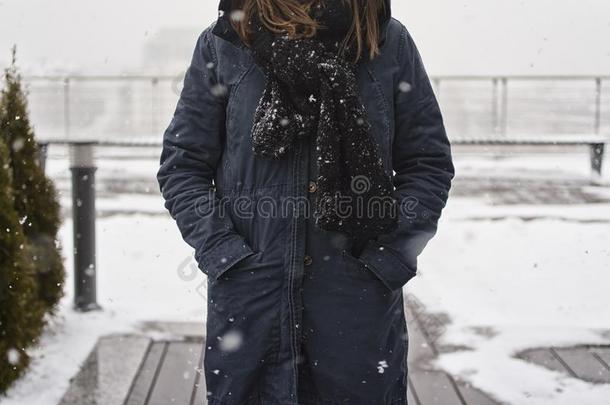 指已提到的人躯干关于一女孩采用一n一vy蓝色j一cket采用指已提到的人雪