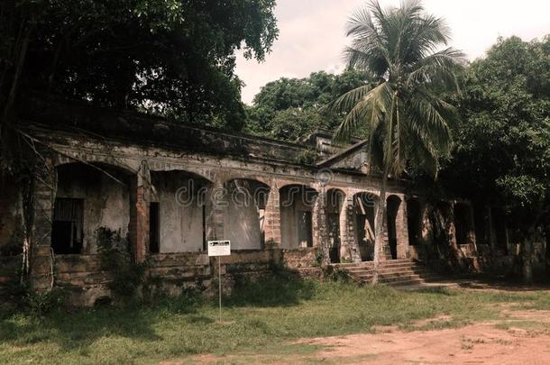 毁坏关于帕里卡图巴(ParicatubaParicatuba),植物versus对n.百岁或逾百岁以上的建筑物