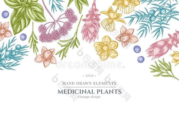 花的设计和彩色粉笔<strong>当归</strong>,罗勒属植物,刺柏属丛木或树木,金丝桃属植物,英语字母表的第18个字母