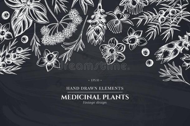 花的设计和粉笔当归,罗勒属植物,刺柏属丛木或树木,金丝桃属植物,Romania罗马尼亚