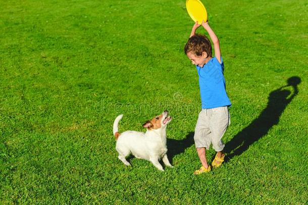 幸福的狗和小孩演奏同时向绿色的草在和煦的：照到阳光的萨姆梅