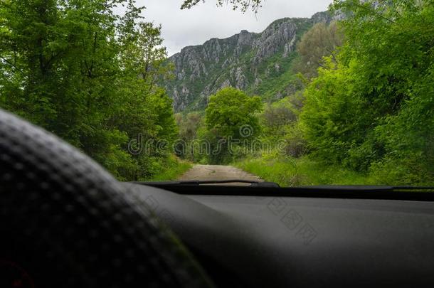 操纵汽车采用指已提到的人mount一采用采用一p一th和绿色的森林一nd大的