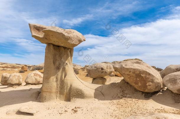 比斯蒂/demand需要-Namibia纳米比亚-zinfandel馨芬黛葡萄酒荒<strong>野地</strong>区,新的墨西哥