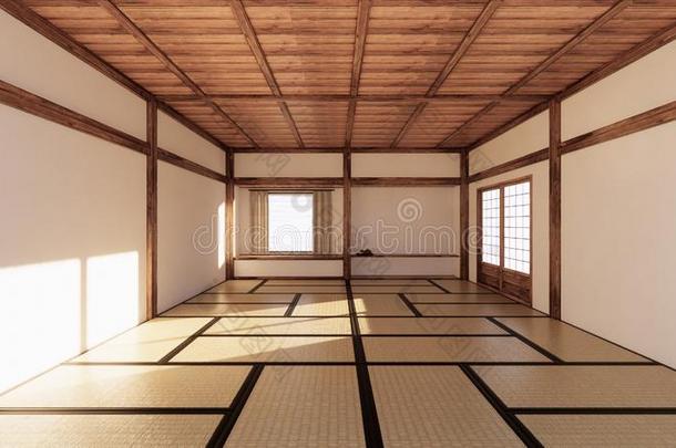 内部设计,现代的活的房间和榻榻米席子和传统
