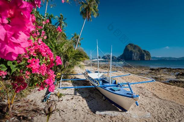 本国的圆形小<strong>木船</strong>小船和充满生机的花在lowalloysteel低合金钢小屋海滩和