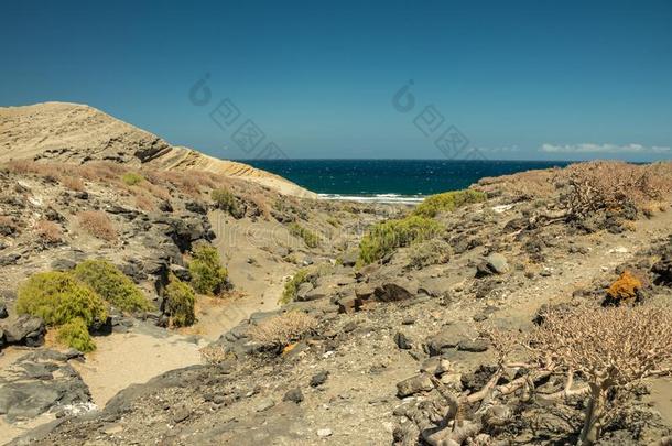 典型的看法关于指已提到的人特内里费岛南方.干的干燥的砂岩海岸线采用