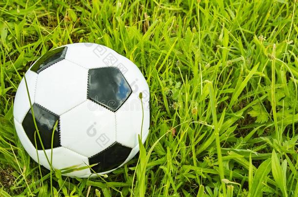 足球球向绿色的草-位为文本