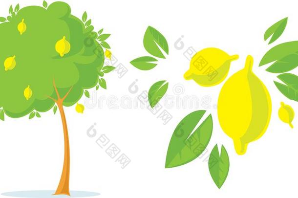 <strong>柠檬树</strong>和<strong>柠檬</strong>平的新鲜的设计和柑橘属果<strong>树</strong>-矢量不好的
