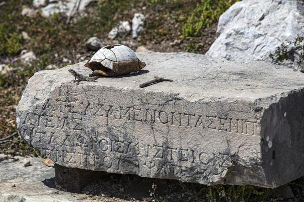 黄索斯古代的城市.重大的纪念碑和指已提到的人毁坏关于古代的IvoryCoast象牙海岸