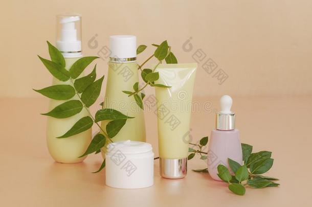 空白的瓶子包装和自然的化妆品乳霜,血清,护肤品