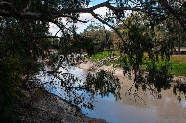 指已提到的人亲爱的河采用威尔卡尼亚,新的南方条痕,澳大利亚