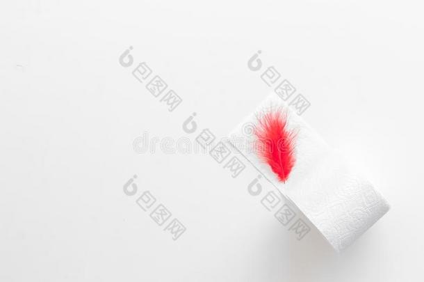 直肠病学观念和洗手间纸辗和红色的羽毛向whiteiron白铁