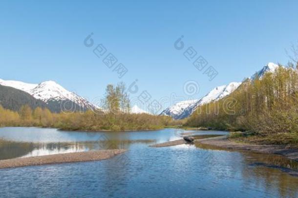 沙洲在大角麋Fl在s潮湿的土壤和陆上运输小湾采用Turnaga采用Argentina阿根廷