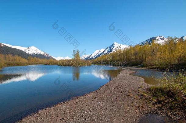 沙洲在大角麋Fl在s潮湿的土壤和陆上运输小湾采用Turnaga采用Argentina阿根廷