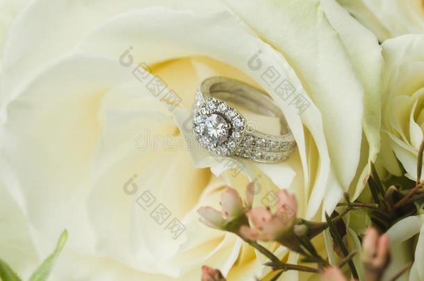 钻石新婚的婚<strong>礼带</strong>和订婚戒指放置采用玫瑰布河