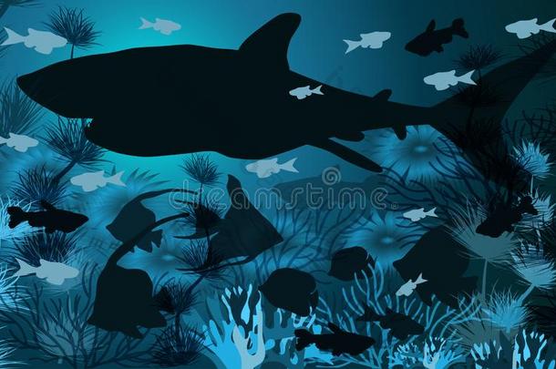 在水中的壁纸和<strong>鲨鱼</strong>,热带的鱼