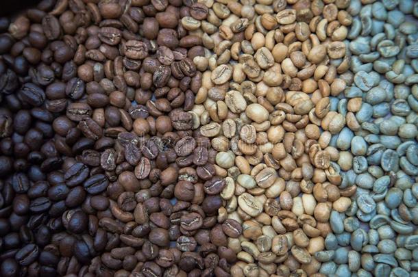 不同的咖啡豆豆形成美丽的有机的质地