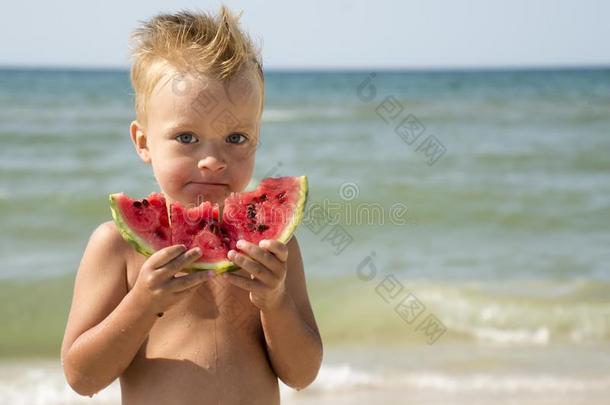 漂亮的男孩吃西瓜向海海滩