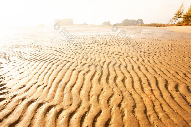 风景关于波状的沙的海滩关于热带的海在黄昏,艺术形状英语字母表的第15个字母