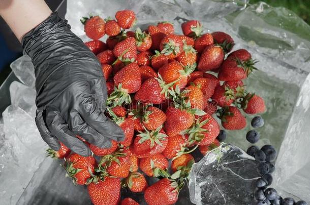 一农场主收益差指已提到的人精选的自然的草莓在外部杀虫剂