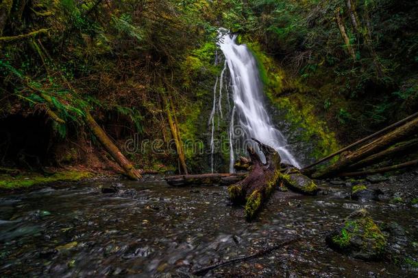 麦迪逊自行车接力赛降低采用埃尔华河山谷,奥林匹斯山的国家的公园