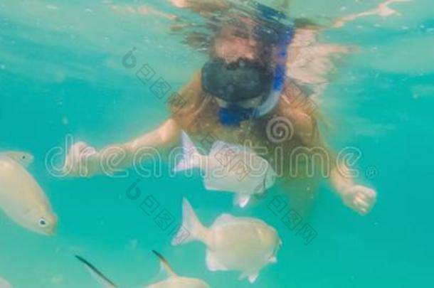 横幅,长的版式幸福的女人采用snorkel采用g面具潜水下半身
