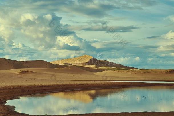 蒙古.沙漠患唐氏综合征的人externallateralsubnucleus外侧亚核,沙的沙丘沙漠