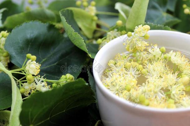 杯子关于药草的茶水和<strong>菩提</strong>树花采用一白色的杯子向一木制的