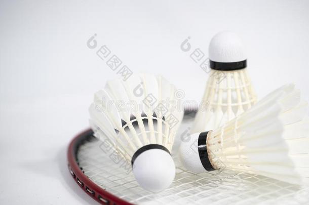 白色的羽毛球羽毛球放置向白色的表背景