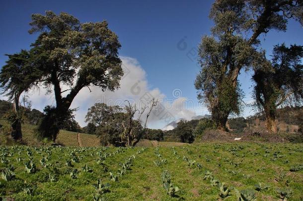 喷发关于图里亚尔瓦火山采用肋反向免疫细胞粘着看见从指已提到的人斜坡