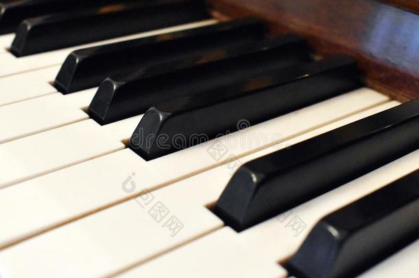钢琴键盘.详细资料关于钢琴键盘