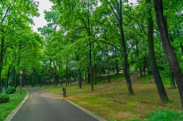 夏风景关于武汉东湖风景优美的地点