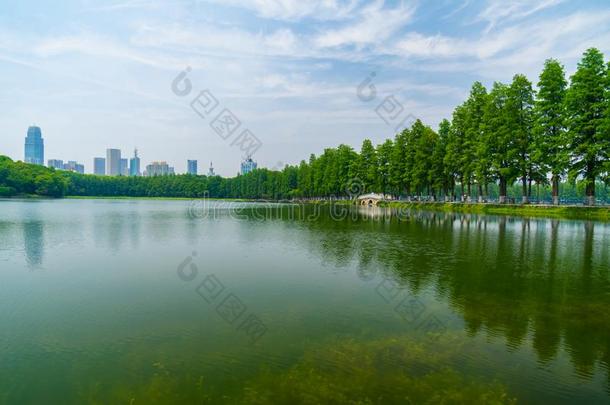 夏风景关于武汉东湖风景优美的地点